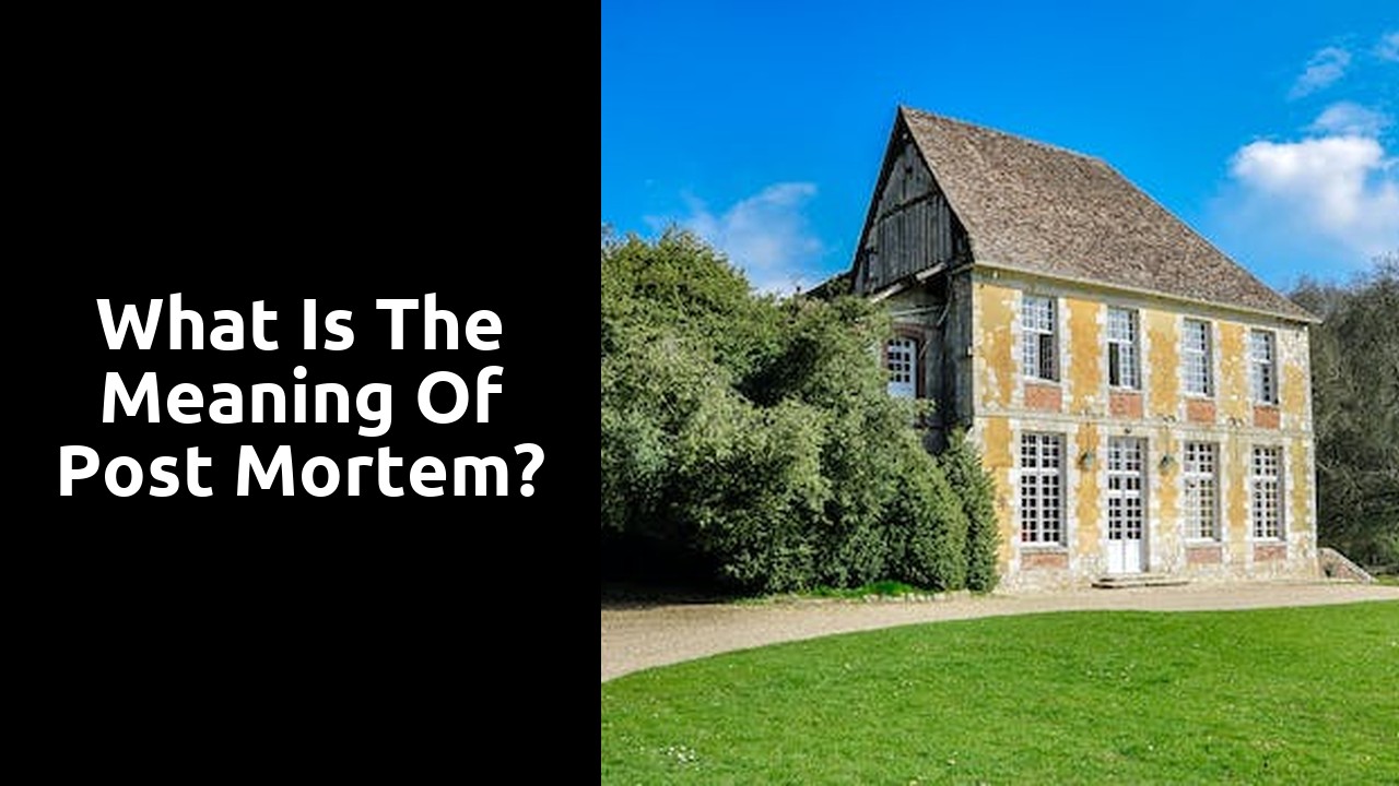 What is the meaning of post mortem?